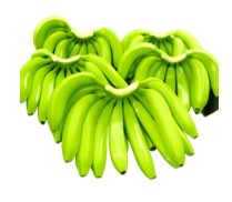Fresh Cavendish Banana